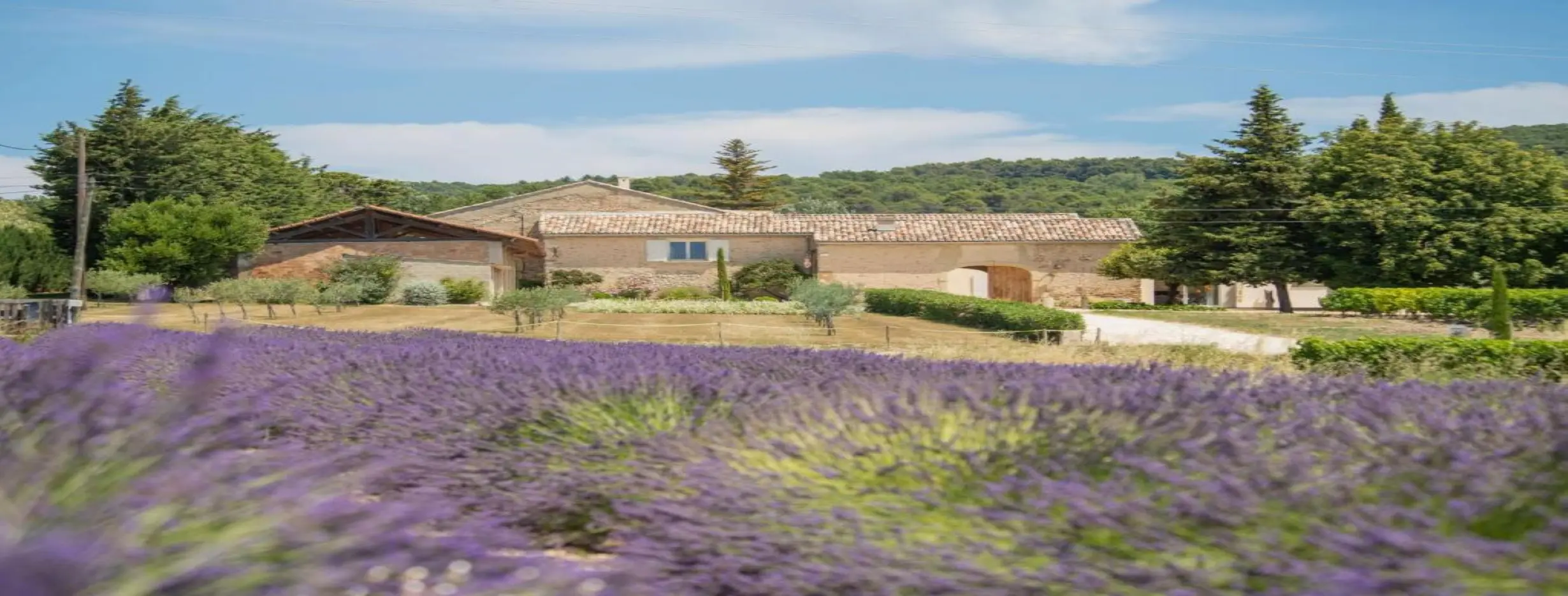 Image for Proximity to Provence